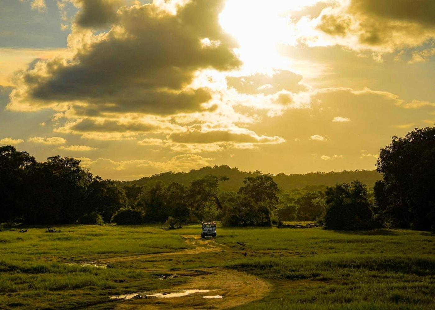 Lakmal Homestay ,10 Minutes To Sigiriya Rock Экстерьер фото