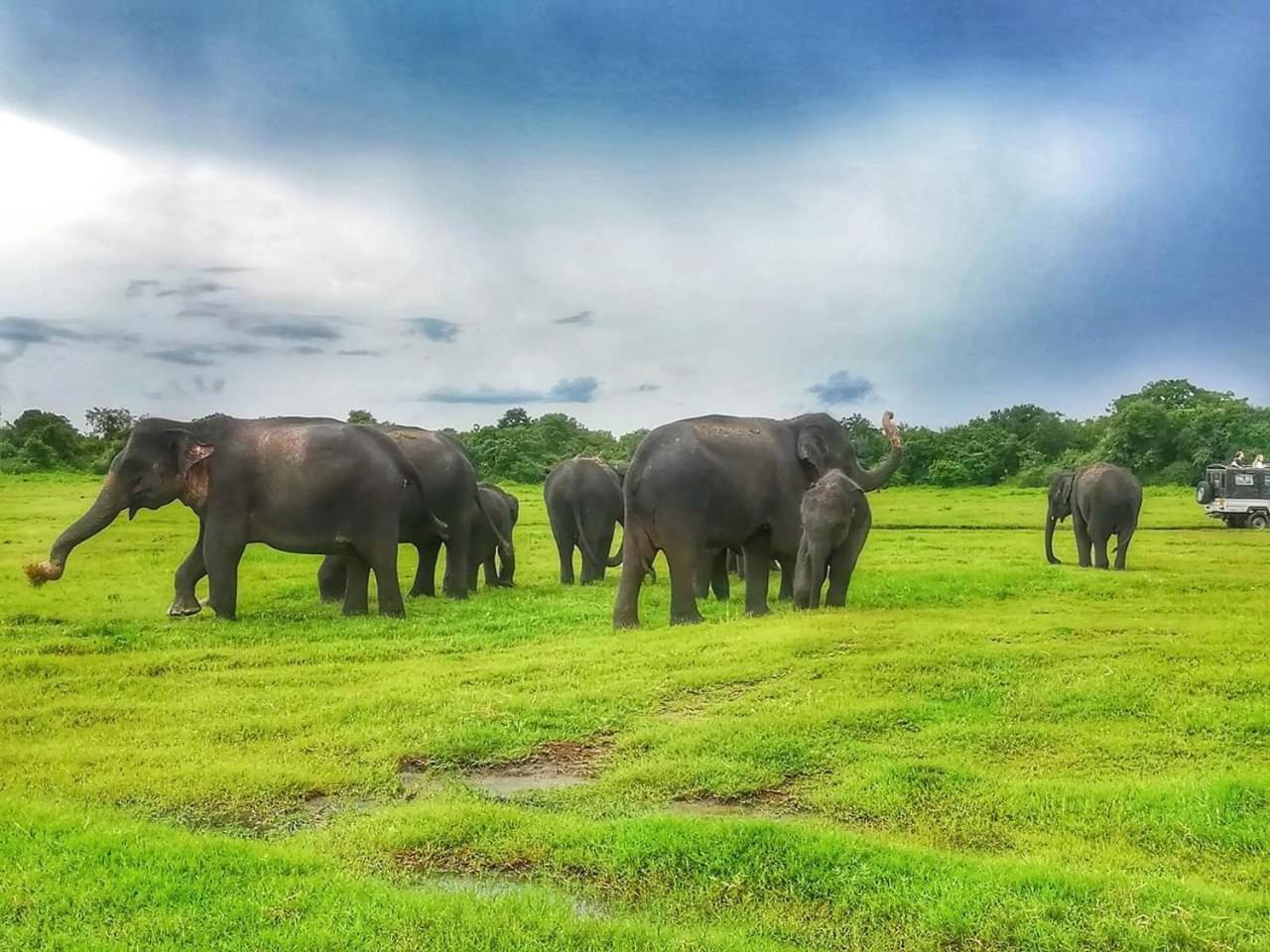 Lakmal Homestay ,10 Minutes To Sigiriya Rock Экстерьер фото