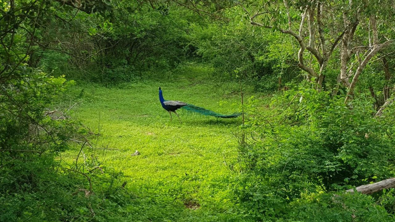 Lakmal Homestay ,10 Minutes To Sigiriya Rock Экстерьер фото