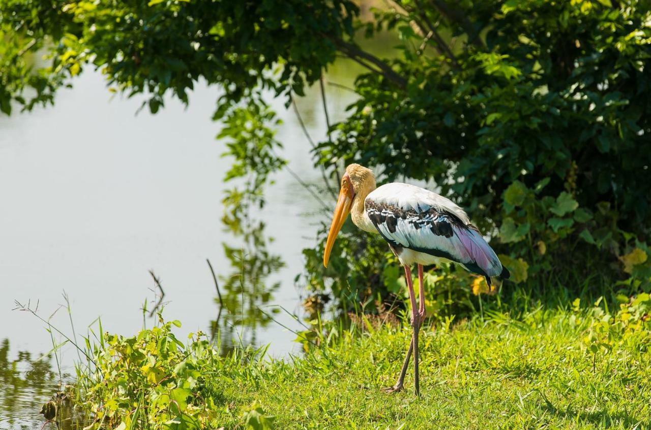 Lakmal Homestay ,10 Minutes To Sigiriya Rock Экстерьер фото
